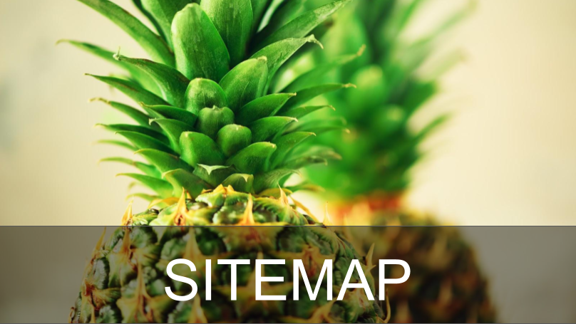 Sitemap エンタメ 芸能 ニュース などの気になる話題をお届け